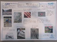 2019nagasaki11.jpg